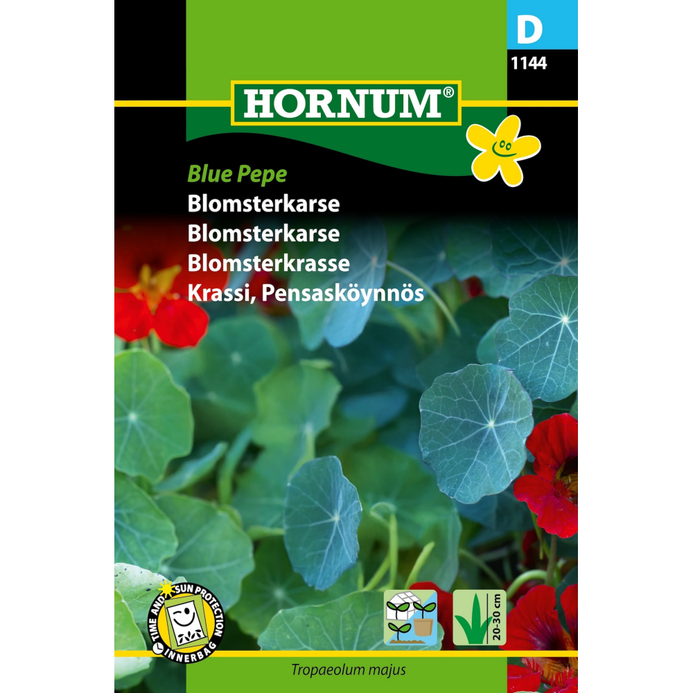 Blomsterkarse 'Blue Pepe'