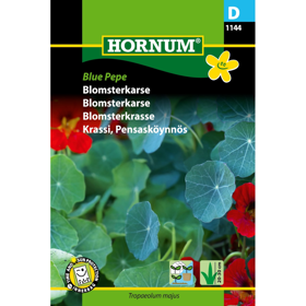 Blomsterkarse 'Blue Pepe'