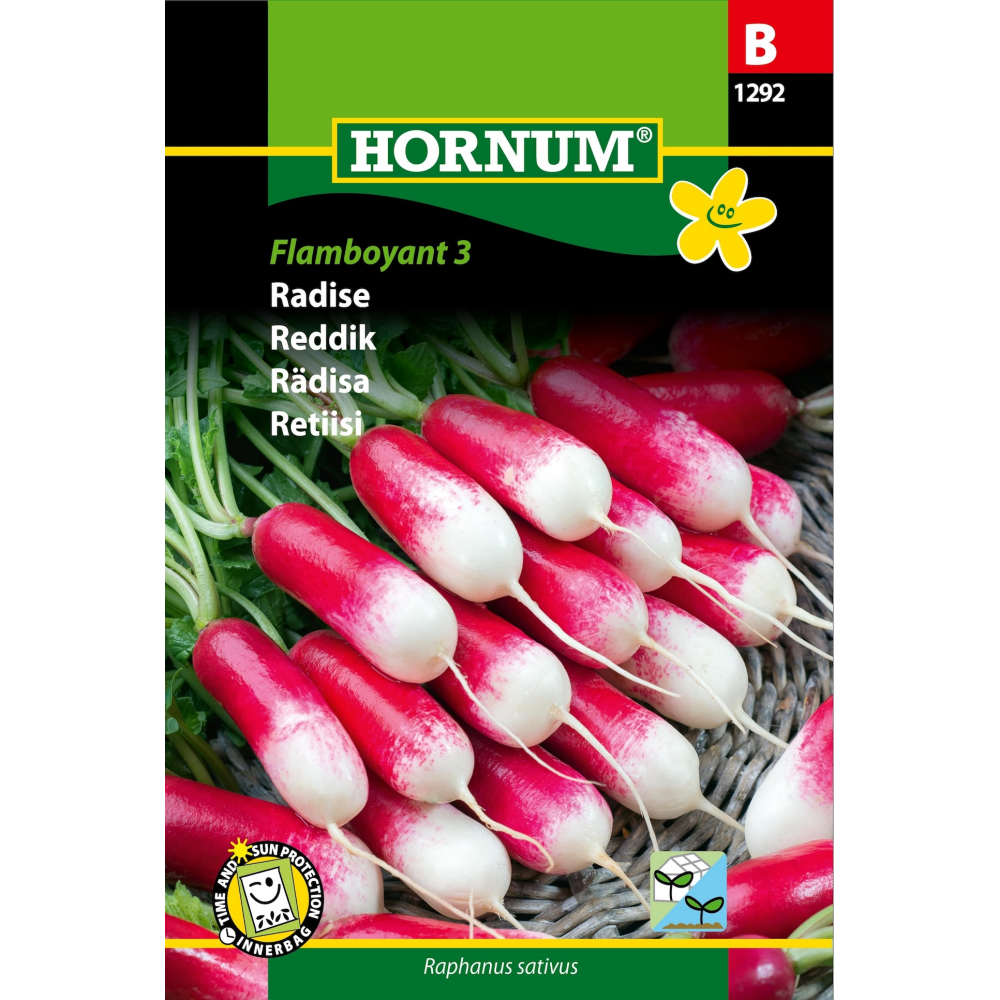 Radise 'Flamboyant 3'