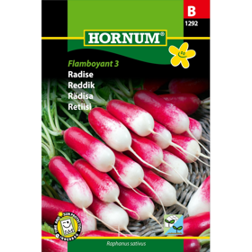 Radise 'Flamboyant 3'