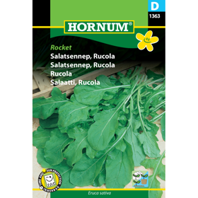 Salatsennep/Rucola 'Rocket'