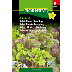 Pluksalat Blanding 'Baby Leaf'
