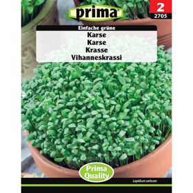 Karse 'Einfache Grüne'
