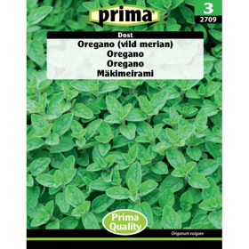 Oregano "Vild Merian" 'Dost