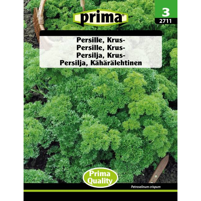 Kruspersille 'Mooskrause 2'