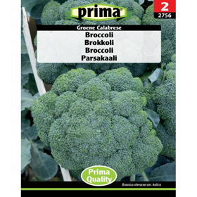 Broccoli 'Groene Calabrese'