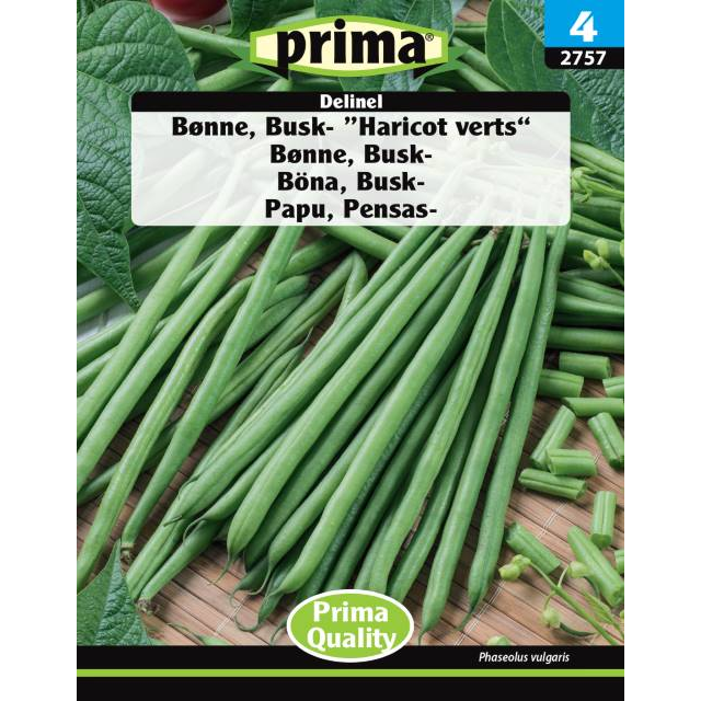 Haricot Verts Buskbønne 'Delinel'