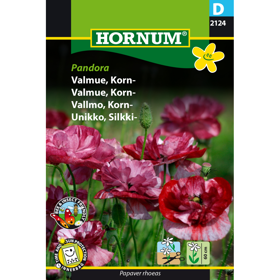 Kornvalmue 'Pandora'