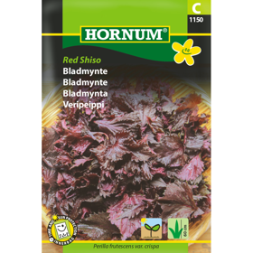Bladmynte 'Red Shiso'