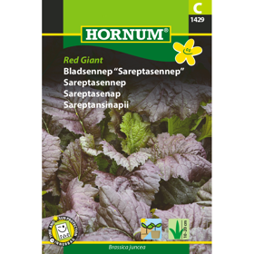Bladsennep "Sareptasennep" 'Red Giant'