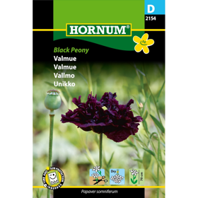 Valmue 'Black Peony'